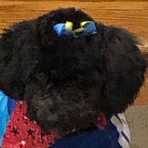 Meet your Posher, Jackie